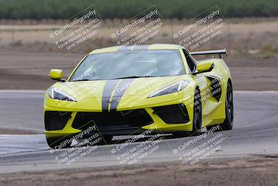 media/Jul-31-2022-Speed Ventures (Sun) [[bfb4b6530b]]/Black Group/Grapevine/
